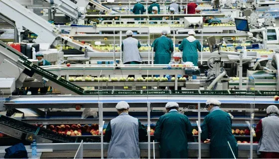 Food Industry Thumbnail (1)